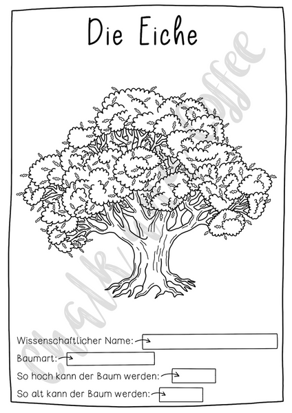 Herbarium Heimische Bäume - Vorlage für gepresste Blätter (PDF)