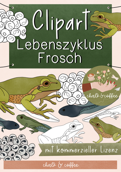 Clipart Frosch Lebenszyklus - Metamorphose Clip Art mit realistischen Illustrationen + kommerzielle Lizenz