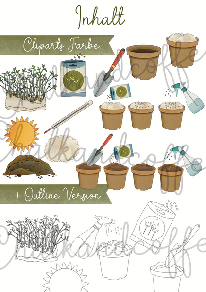 Clipart Kresse säen - Kresse Anpflanzen Clip Art mit realistischen Illustrationen + kommerzielle Lizenz