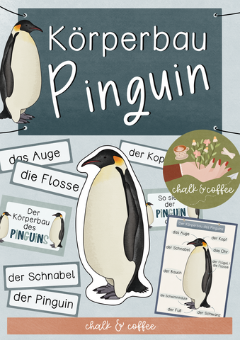 Tafelmaterial Körperbau Pinguin - Bildkarten Arktis & Antarktis (PDF)