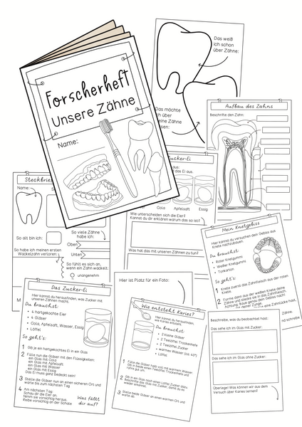 Forscherheft Zähne & Gebiss - Experimente, Arbeitsblätter, Bastelanleitungen zum Thema Zahn & Zahngesundheit (PDF)