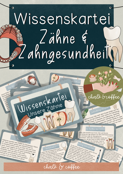 Wissenskartei Zähne, Gebiss & Zahngesundheit - Lesetexte, Wissenshäppchen und Infos zum Zahn (PDF)