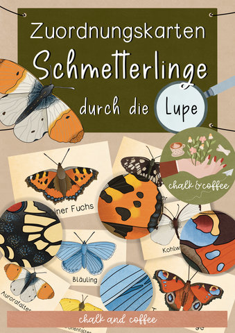 Schmetterling Zuordnungskarten - durch die Lupe - Legespiel Schmetterlinge (PDF)