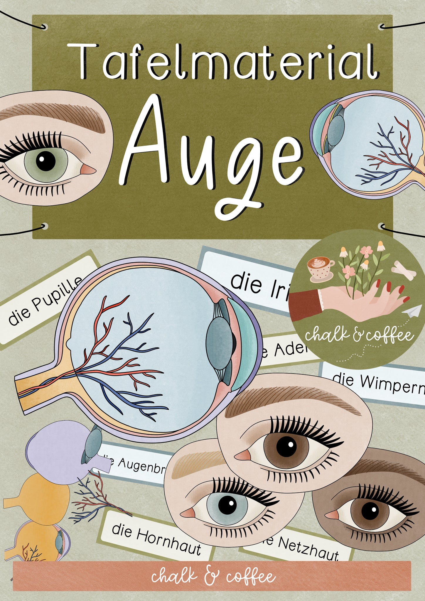 Tafelmaterial Auge Bildkarten von innen und außen (PDF) – Chalk