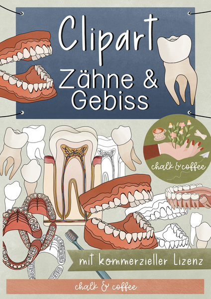 Clipart Zähne & Gebiss - Zahngesundheit Clip Art mit realistischen Illustrationen Zahn + kommerzielle Lizenz
