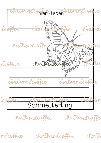 Lebenszyklus des Schmetterlings - Flipbook | Klappheft in verschiedenen Versionen (PDF)