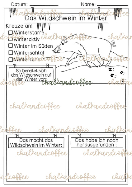 Steckbriefe Tiere im Winter - als Forscherheft & zum Abheften (PDF)