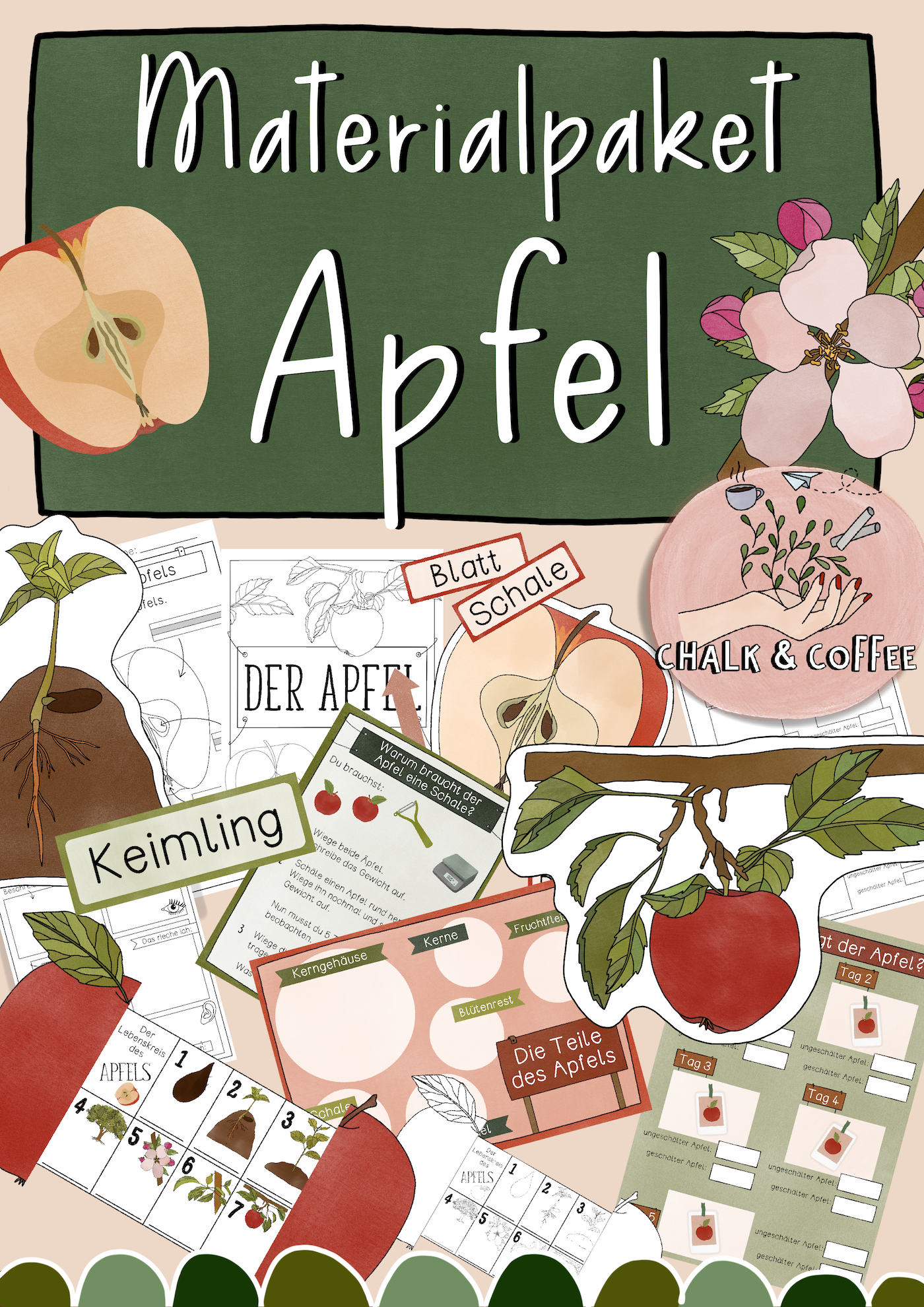 Der Apfel - Materialpaket: Bildkarten, Experimente, Arbeitsblätter, Bastelanleitung (PDF)