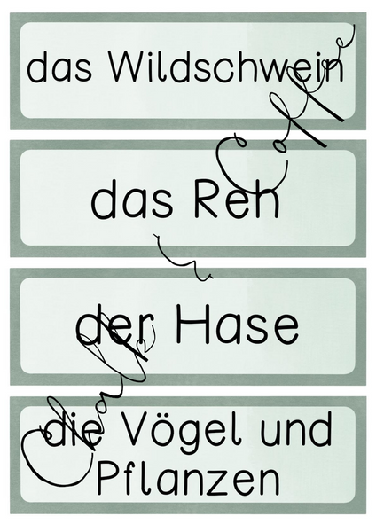 Der Wolf Tafelmaterial - Körperbau, Beute & Körpersprache (PDF)