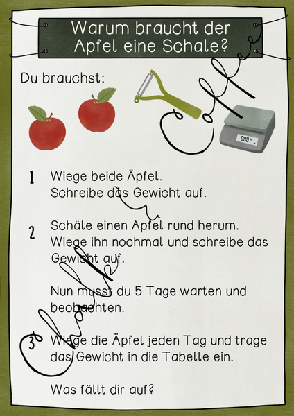 Apfel Unterrichtsreihe - Experimente, Klettkarten, Arbeitsblätter, Deckblatt (PDF)
