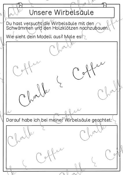 Wirbelsäule Unterrichtsreihe - Arbeitsblätter, Versuche, Tafelmaterial, Bildkarten (PDF)