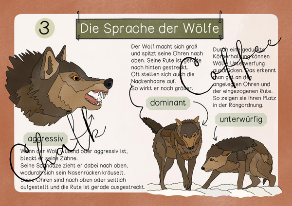 Lernwerktstatt - Der Wolf - analog und digital als interaktive PDF