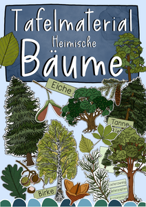 Tafelmaterial Heimische Bäume - Laubbäume & Nadelbäume, Bild- & Textkarten, Realienkarten (PDF)