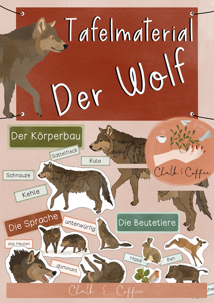 Der Wolf Tafelmaterial - Körperbau, Beute & Körpersprache (PDF)