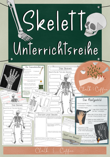 Skelett Unterrichtsreihe - Arbeitsblätter, Versuche, Bastelanleitungen, Forscherfragen (PDF)