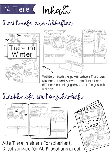 Steckbriefe Tiere im Winter - als Forscherheft & zum Abheften (PDF)