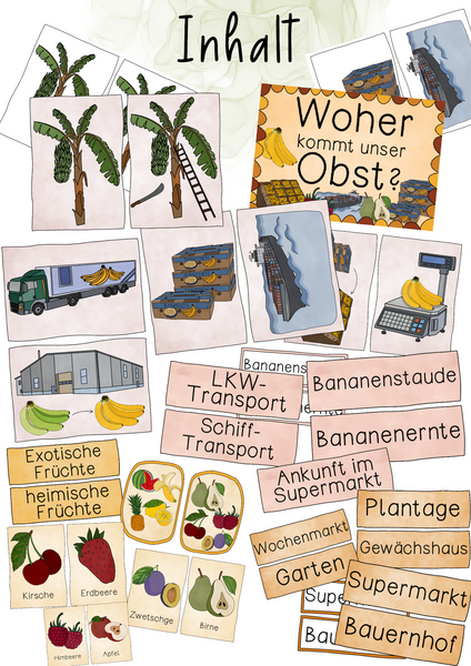 Tafelmaterial Woher kommt das Obst ? - Bildkarten & Textkarten (PDF)