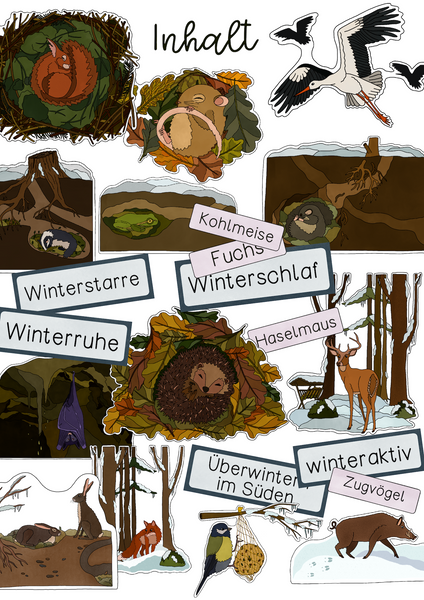 Tiere im Winter Tafelmaterial - Winterschlaf, Winterruhe, Winterstarre & Zugvögel
