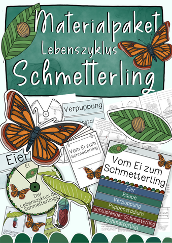 Materialpaket Schmetterling Lebenszyklus - Methamorphose des Schmetterlings (PDF)