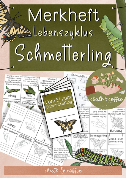 Merkheft Lebeszyklus des Schmetterling - Faltvorlage verschied. Versionen (PDF)