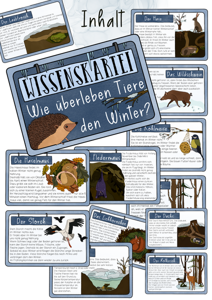 Wissenskartei Tiere im Winter - Winterschlaf, Winterruhe, Winterstarre & Zugvögel (PDF)