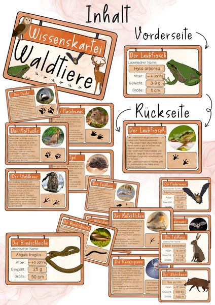 Wissenskartei Waldtiere - Texte, Fußabdrücke und viele Informationen zu Wildtieren (PDF)