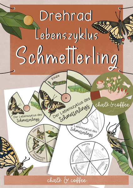 Drehrad Lebenszyklus des Schmetterlings - Bastelanleitung (PDF)