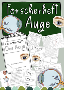 Forscherheft Auge - zum eigenständigen Erarbeiten (PDF)