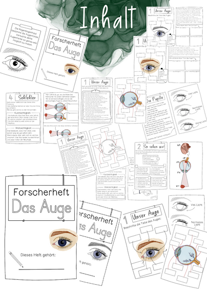 Forscherheft Auge - zum eigenständigen Erarbeiten (PDF)