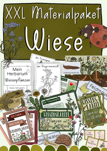 Die Wiese - Materialpaket: Wiesentiere, Wiesenpflanzen bestimmen, Herbarium