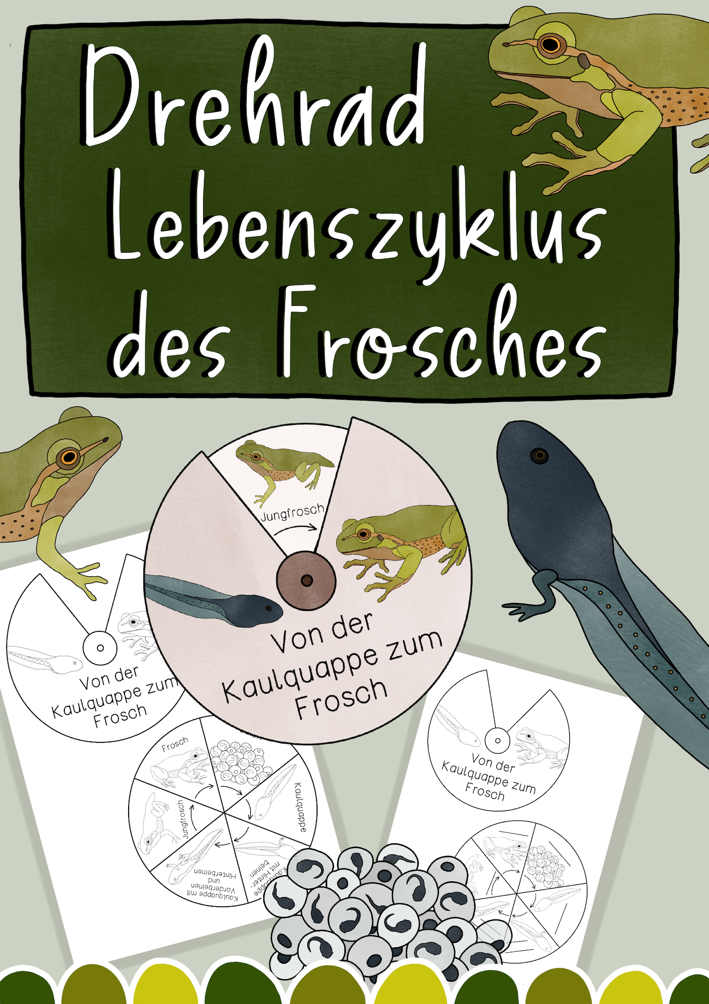 Drehrad Lebenszyklus des Froschs - Bastelanleitung (PDF)