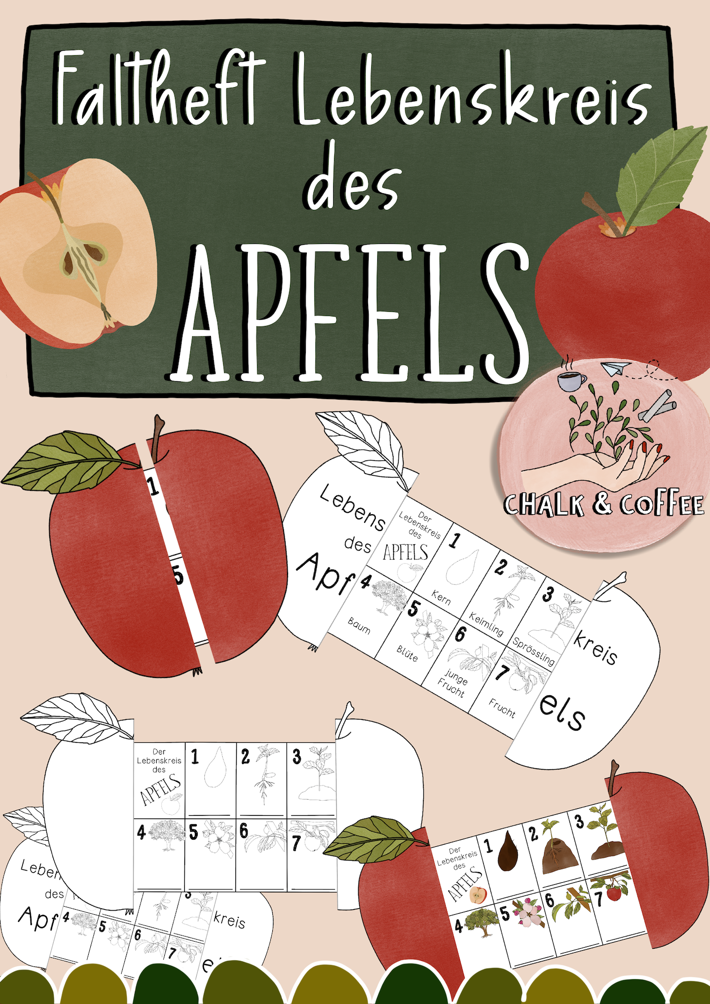 Lebenskreis des Apfels - Faltheft zum Beschriften (PDF)