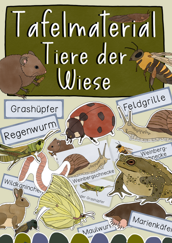 Tafelmaterial Tiere der Wiese - Wiesentiere Bildkarten (PDF)