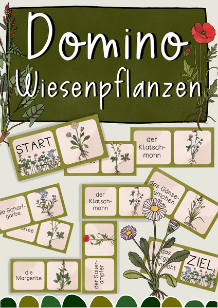 Domino Wiesenpflanzen - Pflanzen auf der Wiese - zwei Versionen (PDF)