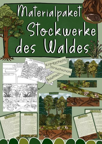 Stockwerke des Waldes Materialpaket - Flipbook, Tafelmaterial, Texte & Poster (PDF)